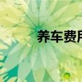 养车费用一年一般多少（养车费）