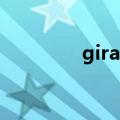 giraffes怎么读（giraffe）