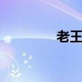 老王杨绛知识（老王杨绛）