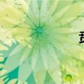 贲张与偾张（贲张）