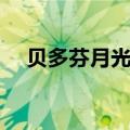 贝多芬月光曲音乐播放（贝多芬月光曲）