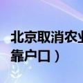 北京取消农业户口夫妻投靠（北京取消夫妻投靠户口）