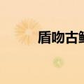 盾吻古鳄在哪买得到（盾吻古鳄）