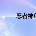 忍者神龟格斗版（忍者神龟格斗）
