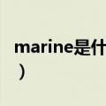 marine是什么牌子手表（marine是什么牌子）