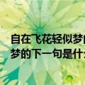 自在飞花轻似梦的下一句是什么是几年级的（自在飞花轻似梦的下一句是什么）