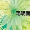毛呢面料的优缺点（毛呢面料）