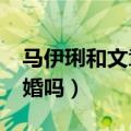 马伊琍和文章离婚了吗?（马伊琍和文章是二婚吗）