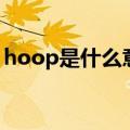 hoop是什么意思啊英语（hoop是什么意思）