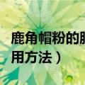 鹿角帽粉的服用方法用水冲吗（鹿角帽粉的服用方法）
