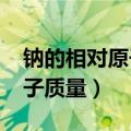 钠的相对原子质量是22还是23（钠的相对分子质量）