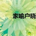 家喻户晓造句15字（家喻户晓造句）