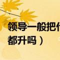 领导一般把什么人挂职出去（挂职一年后一般都升吗）