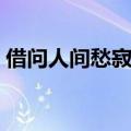 借问人间愁寂意的下一句（借问人间愁寂意）