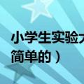 小学生实验大全简单的教程（小学生实验大全简单的）