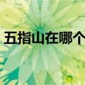 五指山在哪个省哪个市哪个区（五指山在哪）