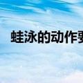 蛙泳的动作要领是什么（蛙泳的动作要领）