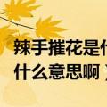辣手摧花是什么意思啊网络用语（辣手摧花是什么意思啊）