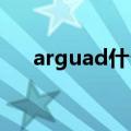 arguad什么意思（arguing什么意思）