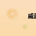 戚蓝尹的简介（戚蓝尹）