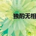 独酌无相亲打一动物（独酌无相亲）