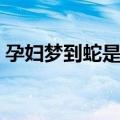 孕妇梦到蛇是什么意思（梦到蛇是什么意思）