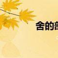 舍的部首和拼音（舍的部首）