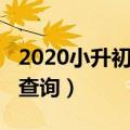 2020小升初成绩查询入口（2013小升初成绩查询）