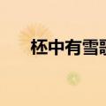 柸中有雪歌曲原曲是什么（柸中有雪）