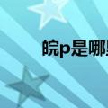 皖p是哪里的车?（皖p是哪里的车）
