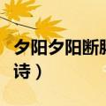 夕阳夕阳断肠人在天涯全诗（断肠人在天涯全诗）
