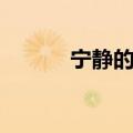宁静的意思解释（宁静的意思）