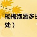 杨梅泡酒多长时间就不能喝了（杨梅酒十大好处）