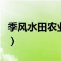 季风水田农业特点有哪些（季风水田农业特点）