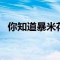 你知道暴米花的花语是啥么（暴米花手机）