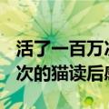 活了一百万次的猫读后感500字（活了一百万次的猫读后感）