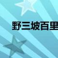 野三坡百里峡最新通知（野三坡百里峡）
