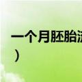 一个月胚胎流产图片（怀孕一个月流产排出图）