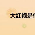 大红袍是什么茶树（大红袍是什么茶）