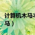 计算机木马本身具有一定的破坏性（计算机木马）