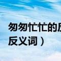 匆匆忙忙的反义词是慢慢吞吞吗（匆匆忙忙的反义词）