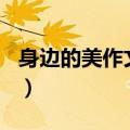 身边的美作文800字优秀作文（身边的美作文）