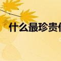 什么最珍贵作文800字（什么最珍贵作文）