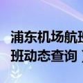 浦东机场航班动态查询电话号码（浦东机场航班动态查询）