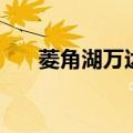 菱角湖万达属于哪个区（菱角湖万达）