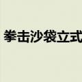 拳击沙袋立式的好还是吊式的好（拳击沙袋）