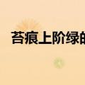 苔痕上阶绿的上是什么用法（苔痕上阶绿）