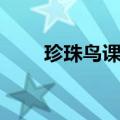 珍珠鸟课文主要内容（珍珠鸟课文）