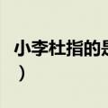 小李杜指的是什么指的是谁大李杜（小李杜指）