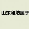 山东潍坊属于几线城市（潍坊属于几线城市）